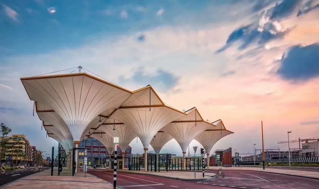 640.webp (5).jpg 640.webp (5).jpg