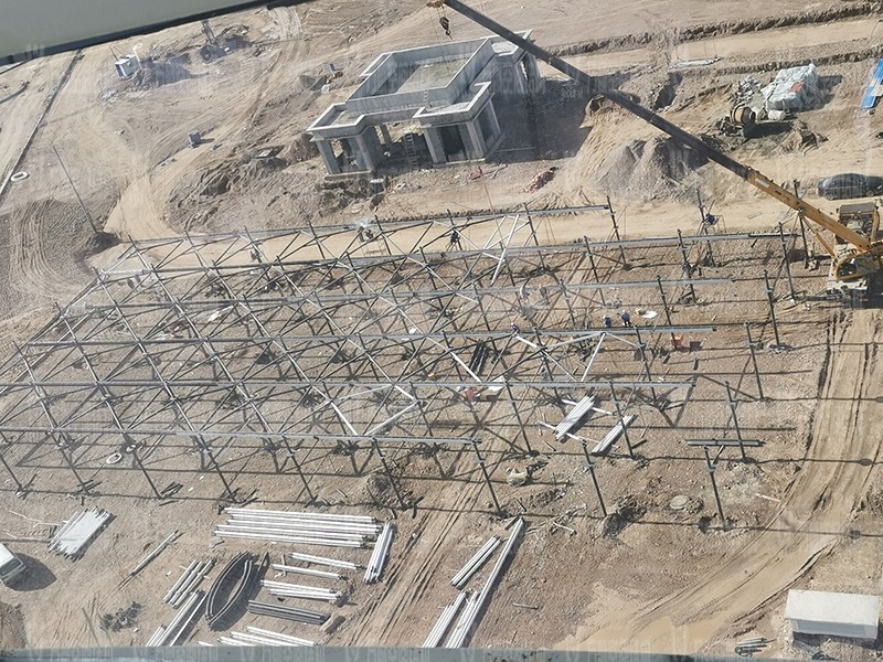 IMG_20200809_092544.jpg IMG_20200809_092544.jpg