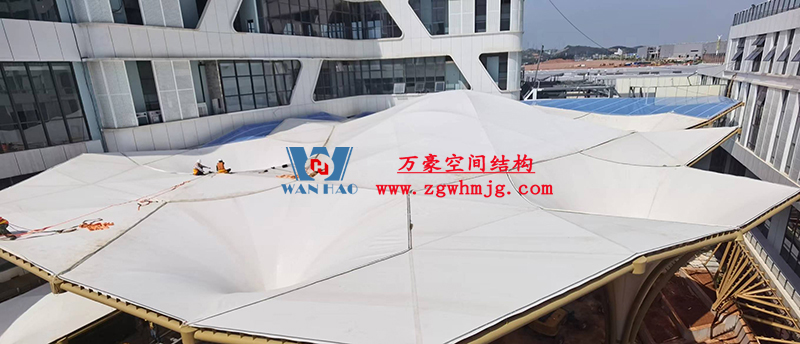 前瞻第19屆東博會:共享RCEP新機遇 再添中國東盟合作新動能 前瞻第19屆東博會:共享RCEP新機遇 再添中國東盟合作新動能