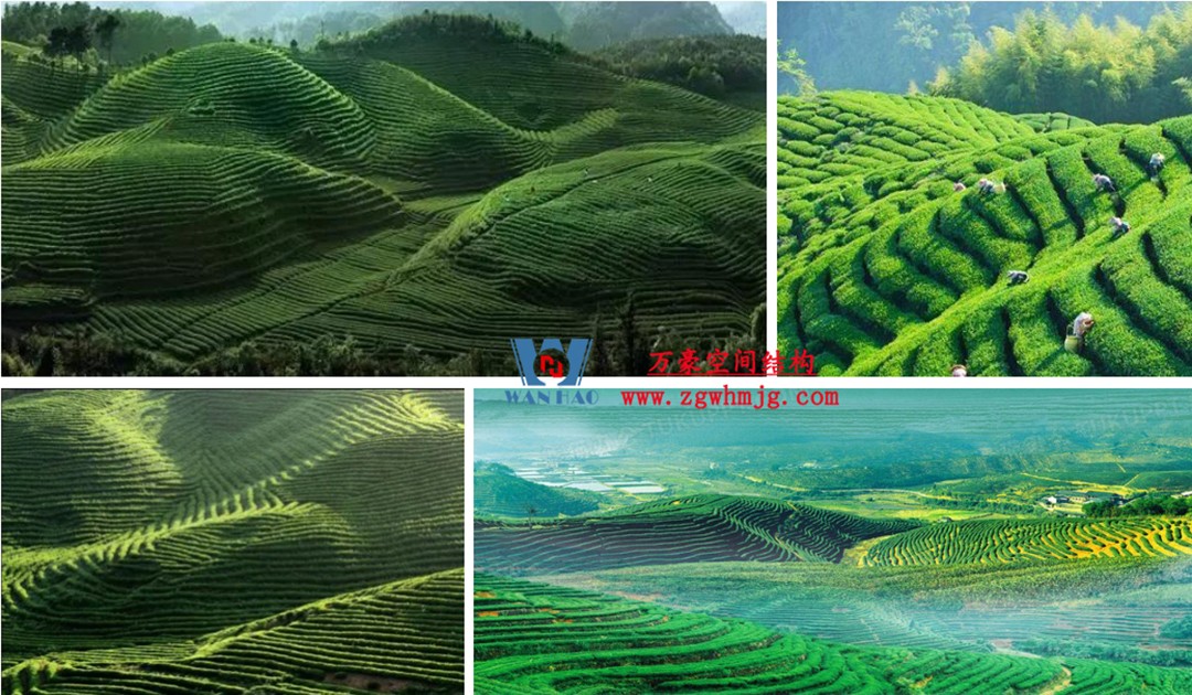 案例欣賞/復雜鋼膜結(jié)構(gòu)建筑/杭州博多森谷ETFE氣枕連廊天幕項目 案例欣賞/復雜鋼膜結(jié)構(gòu)建筑/杭州博多森谷ETFE氣枕連廊天幕項目