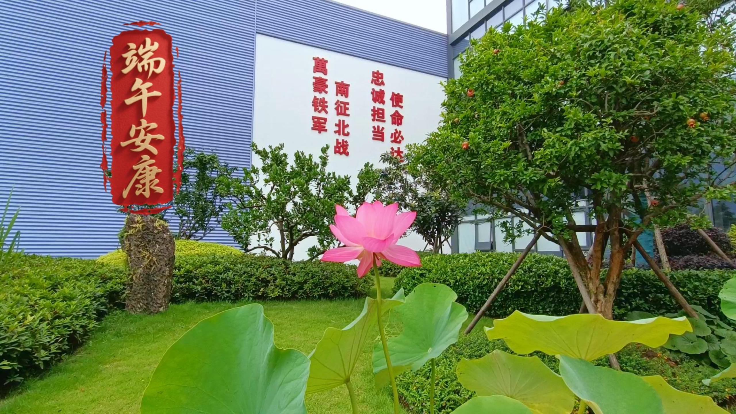 歲歲安康，粽享溫情